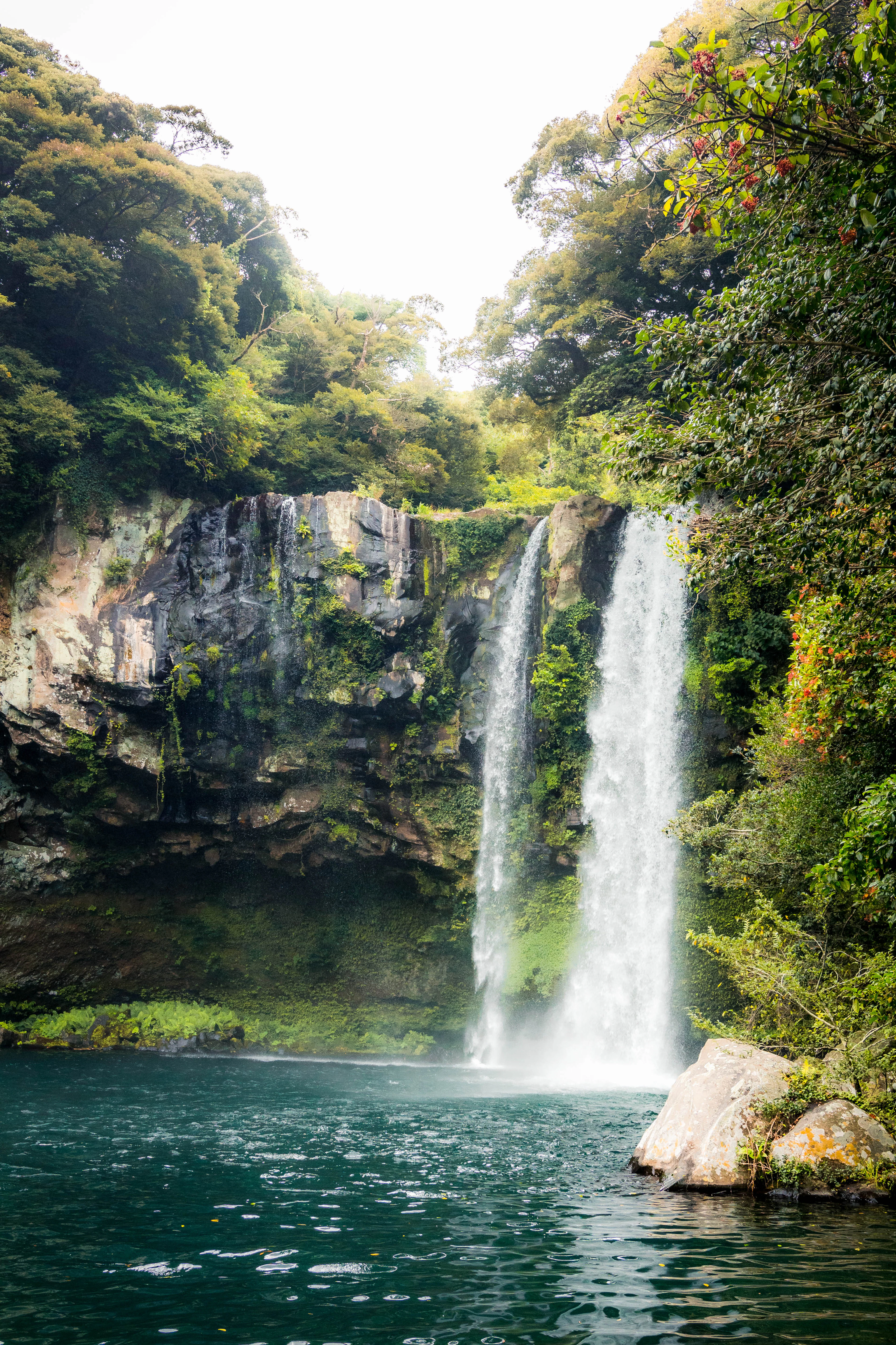A waterfall in Seogwipo on Jeju Island falling in two white ribbons over a mossy basalt cliff into a deep green pool ringed by subtropical forest.