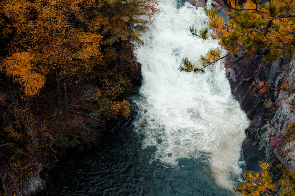 water falls in the middle of the forest