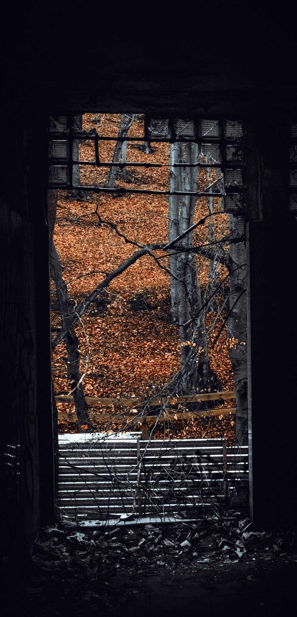 Árboles marrones cerca de un edificio de hormigón marrón durante el día