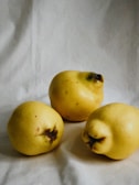 Three ripe quinces with a slightly mottled surface are positioned on a soft, light-colored fabric background. The fruits display a golden yellow hue with brown blemishes near the top.