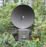 A large military radar or satellite dish is situated among dense foliage and vegetation. The dish is a dull metallic color, and the surrounding plants are lush and green, with some yellow flowers visible.
