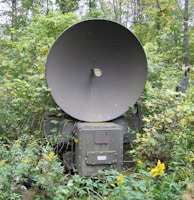A large military radar or satellite dish is situated among dense foliage and vegetation. The dish is a dull metallic color, and the surrounding plants are lush and green, with some yellow flowers visible.
