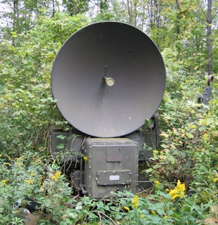 A large military radar or satellite dish is situated among dense foliage and vegetation. The dish is a dull metallic color, and the surrounding plants are lush and green, with some yellow flowers visible.