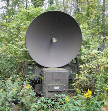 A large military radar or satellite dish is situated among dense foliage and vegetation. The dish is a dull metallic color, and the surrounding plants are lush and green, with some yellow flowers visible.