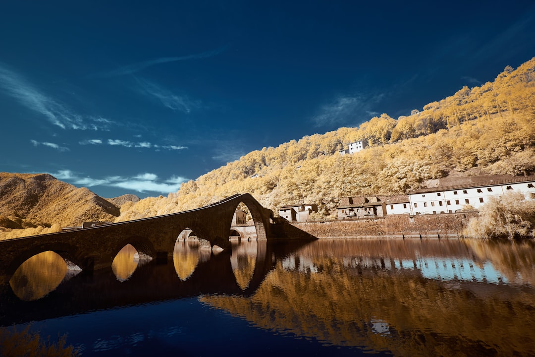 brown wooden bridge over river