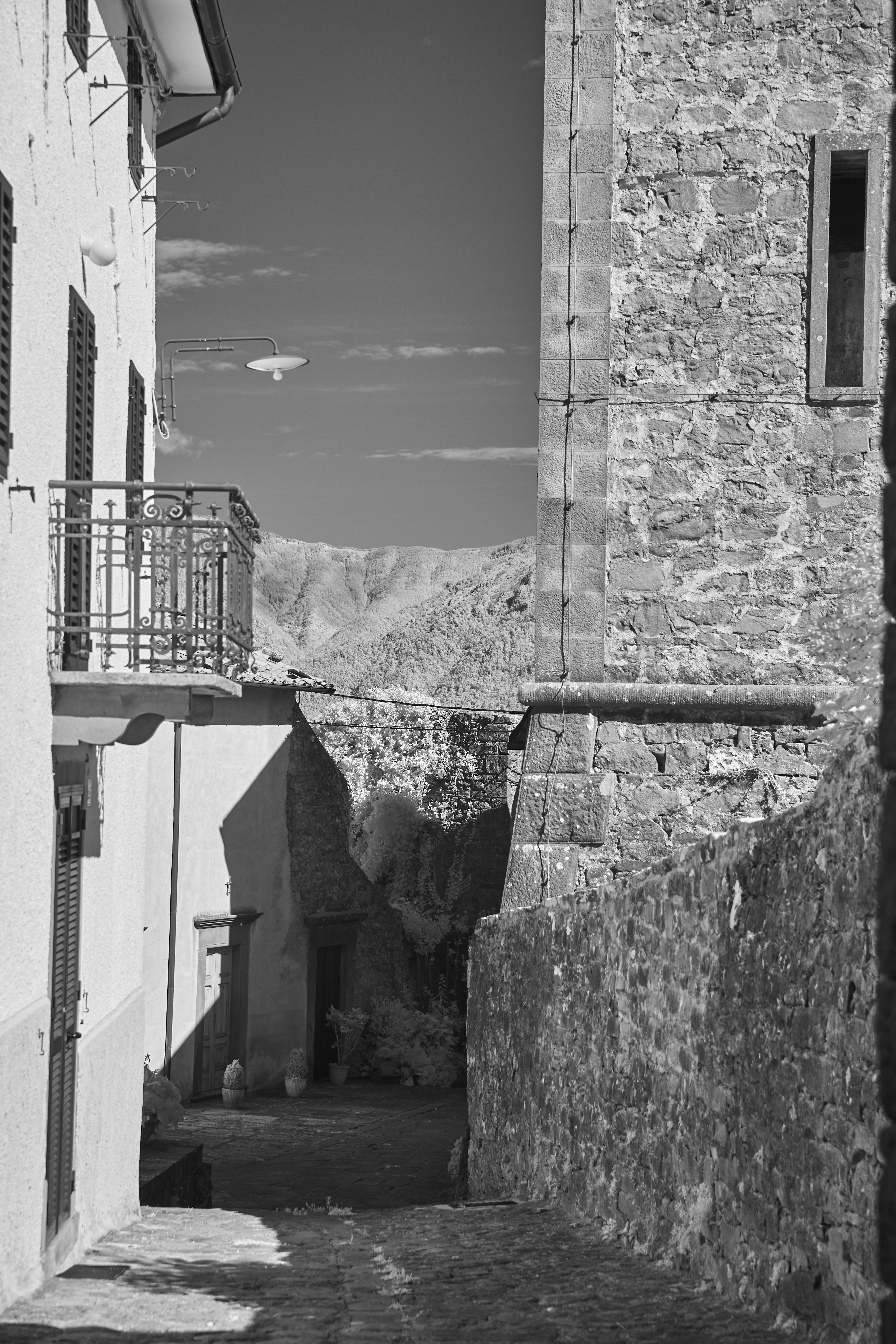 Photo by wolfgang_hasselmann