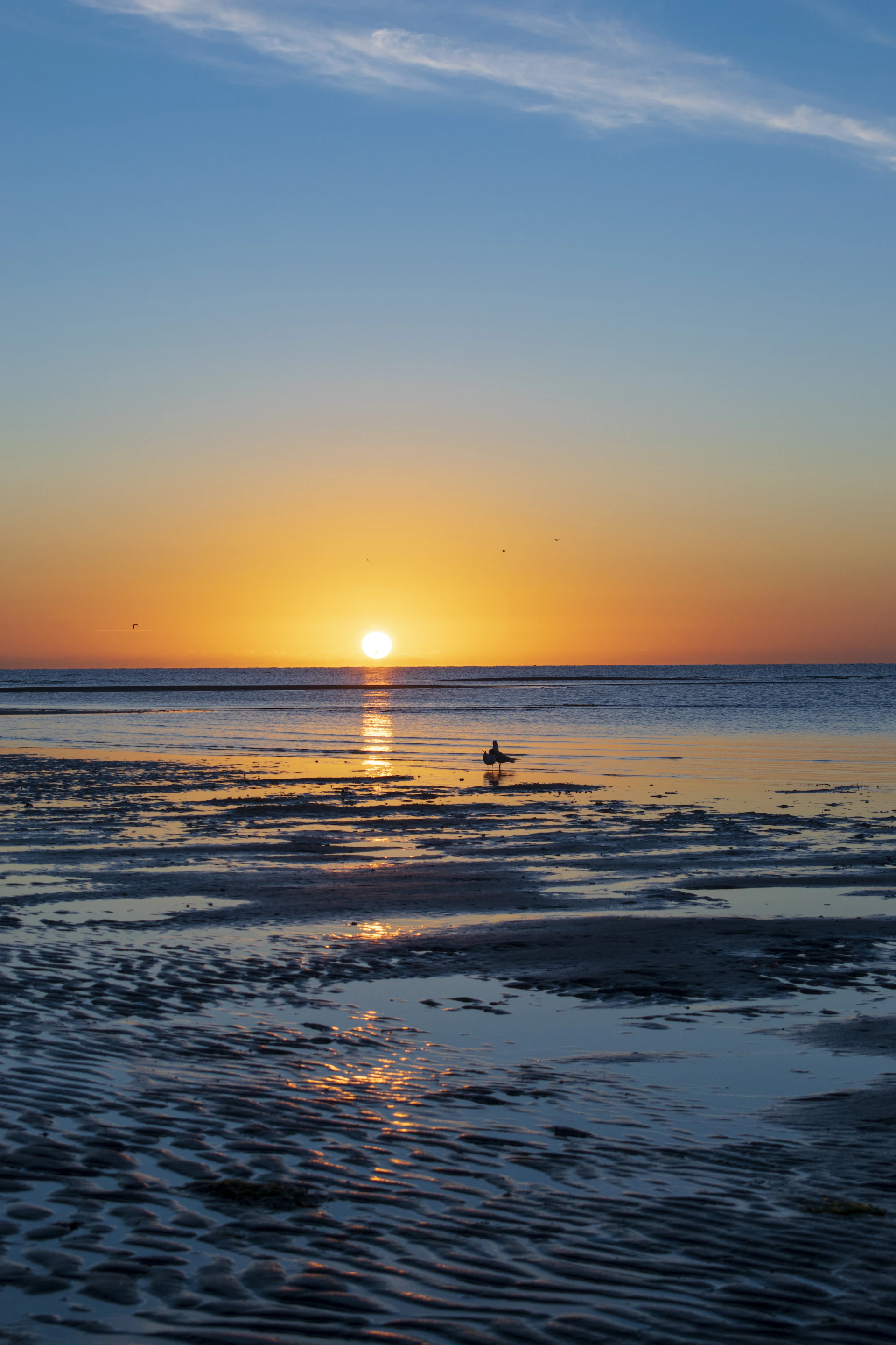silhouette of person on beach during sunset
