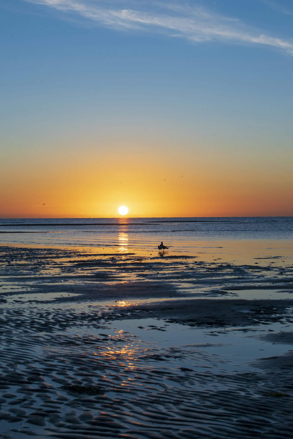 Silhouette der Person am Strand während des Sonnenuntergangs