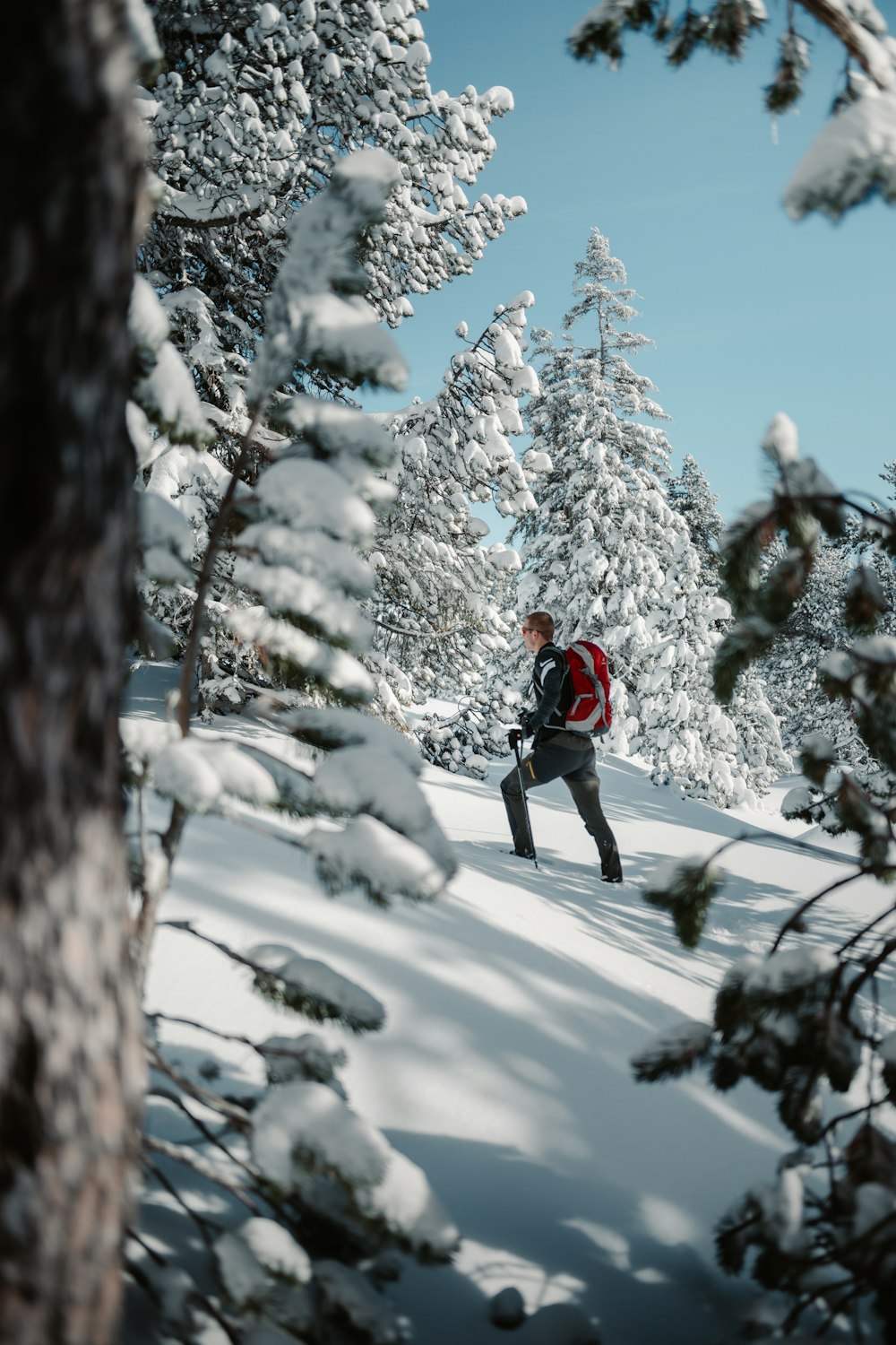 person in red jacket and black pants standing on snow covered ground during daytime