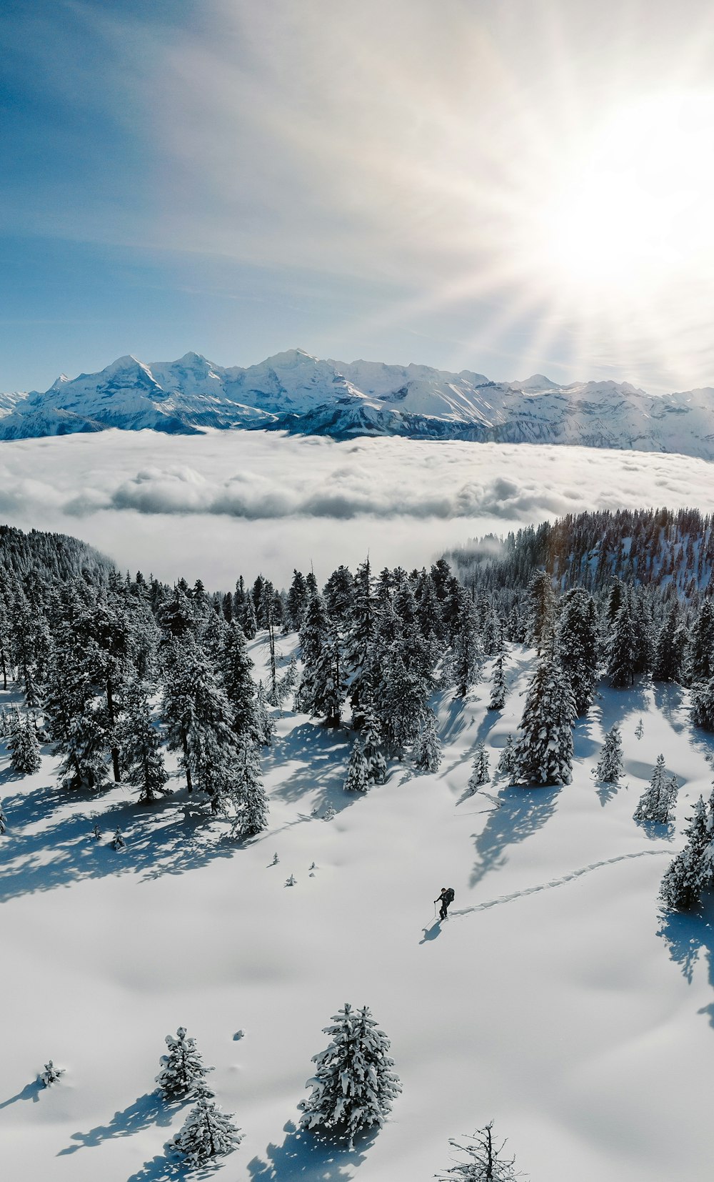 snow covered trees and mountains during daytime