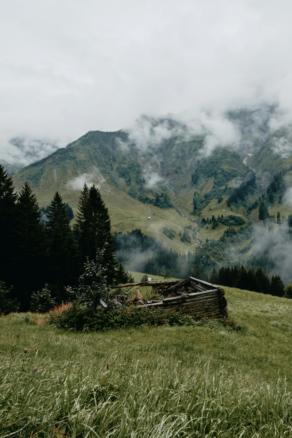 brown wooden fence on green grass field near green trees and mountain during daytime