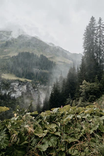 Close-up of vibrant flora thriving in the cool, foggy atmosphere of Gorthan near the NA Farmhouse