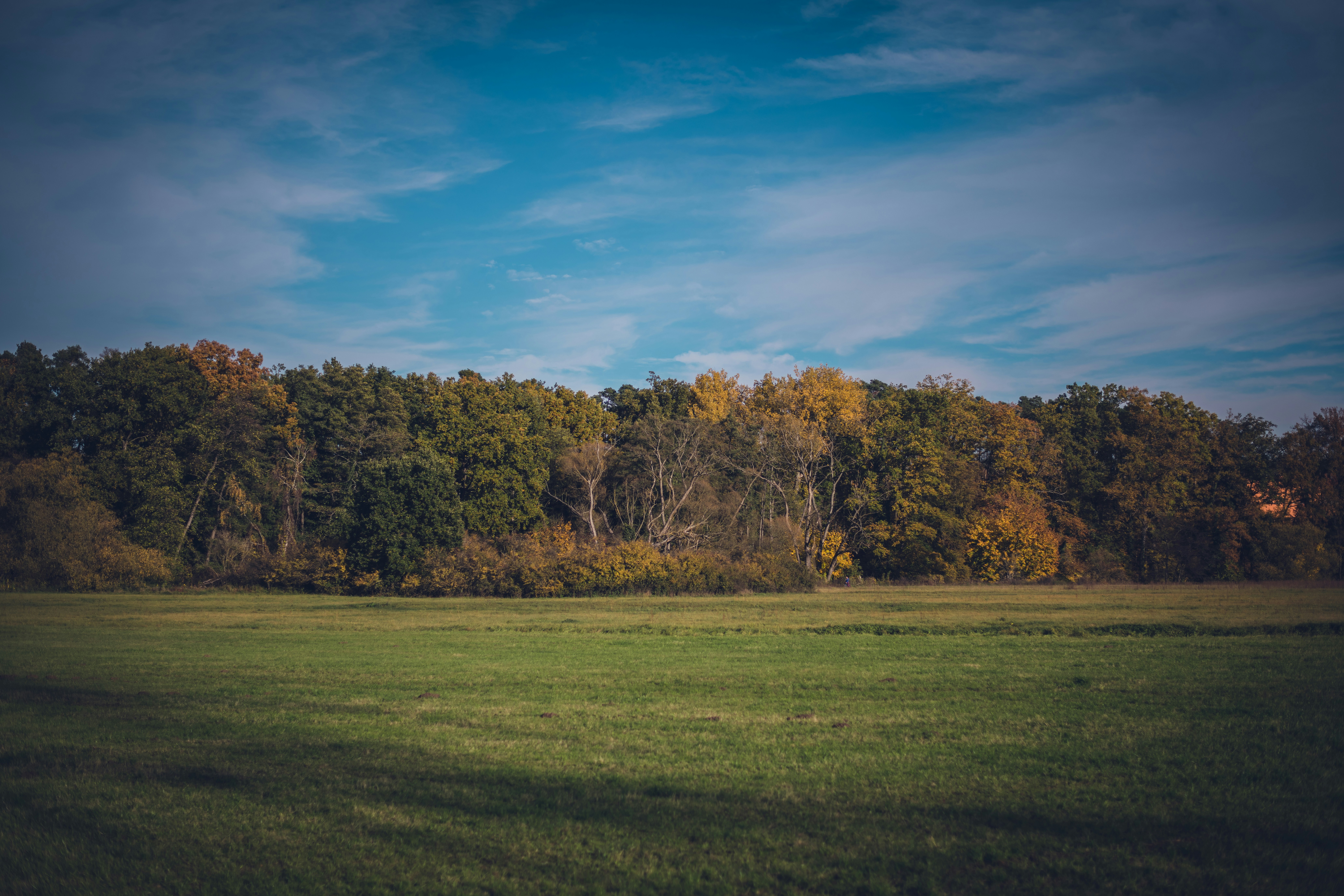 Photo by daniel_zopf