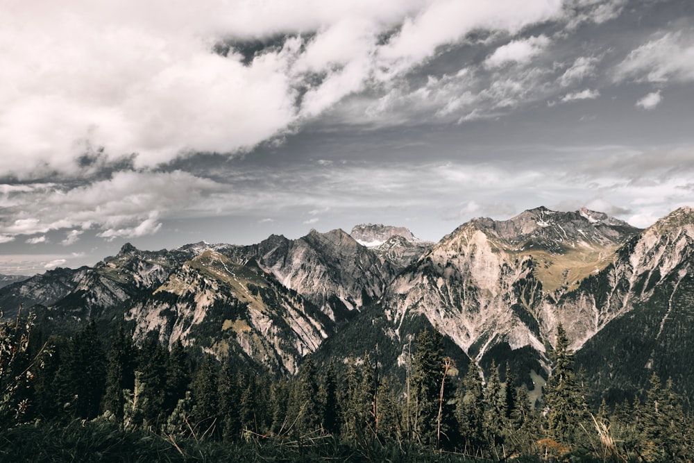 green trees near mountain under cloudy sky during daytime