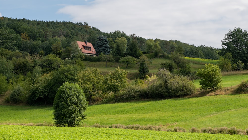 red and white house surrounded by green trees under white clouds during daytime