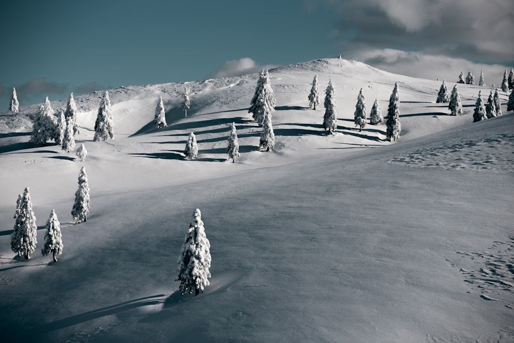 a snow covered hill with trees and a fence