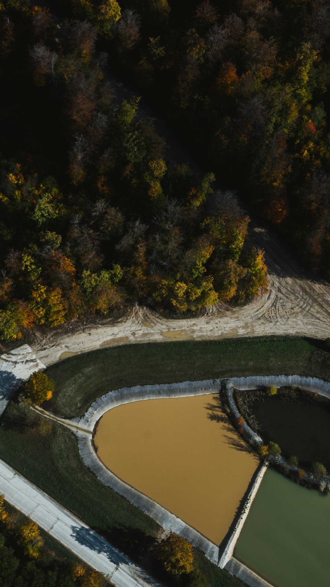 aerial view of river between trees