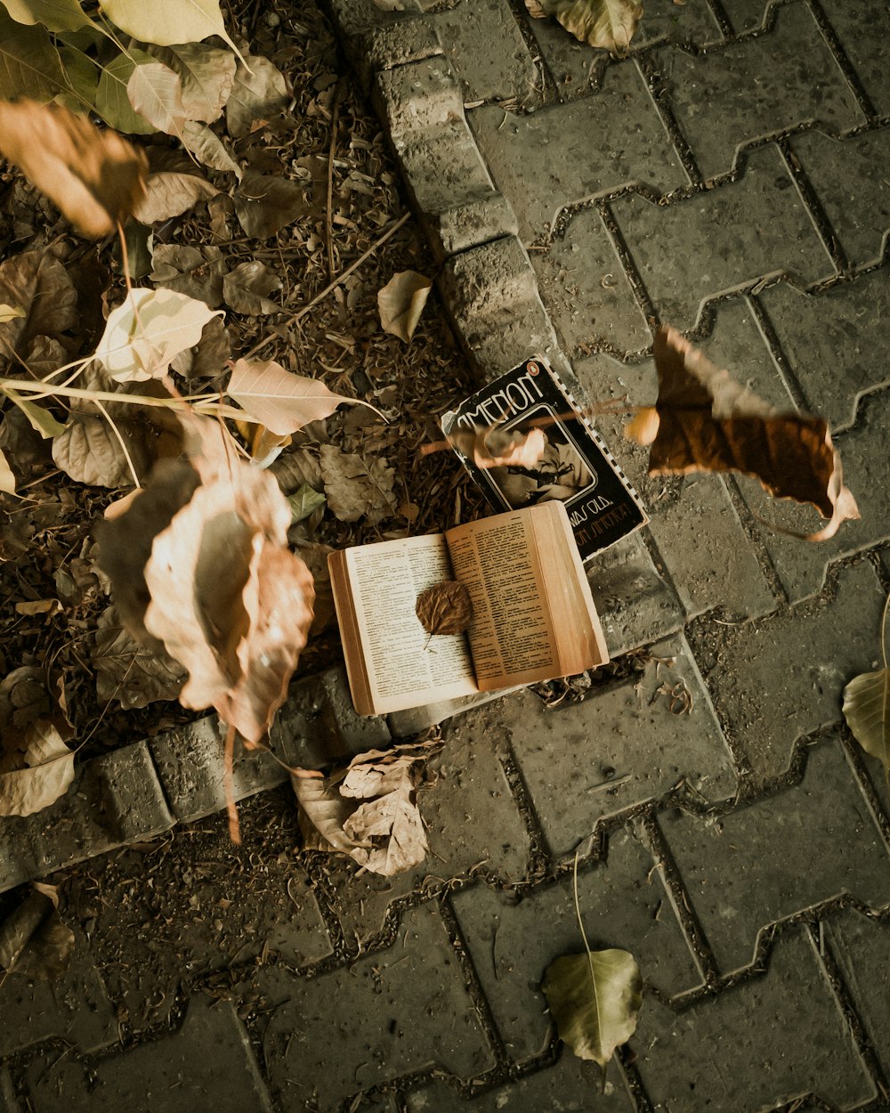 茶色のレンガの床に茶色の乾燥した葉