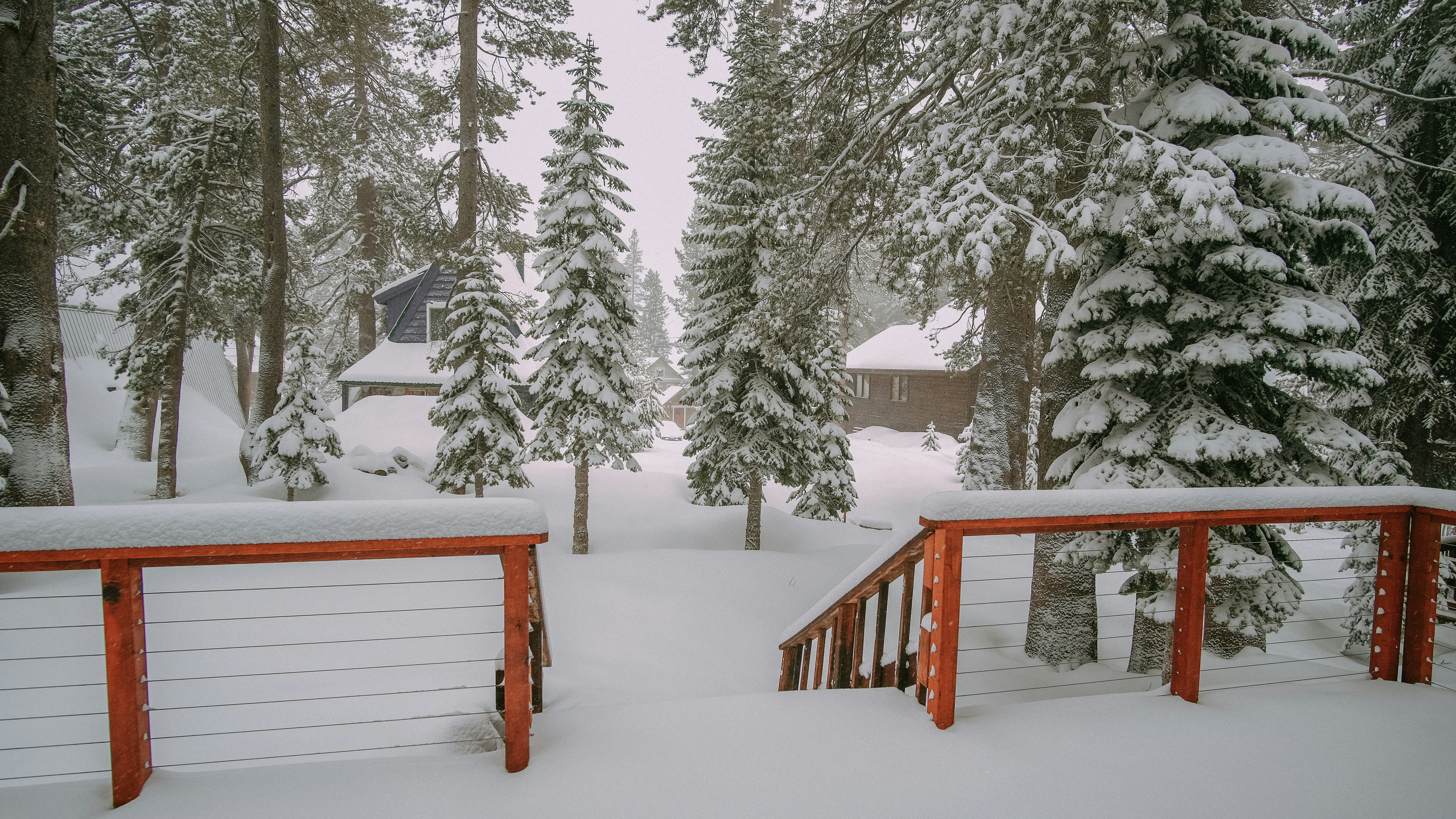 Photo by cys_escapes