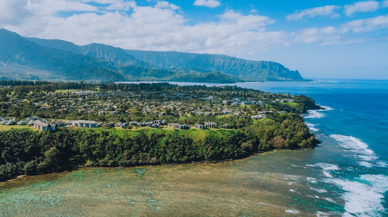 Hawaiian Ocean View