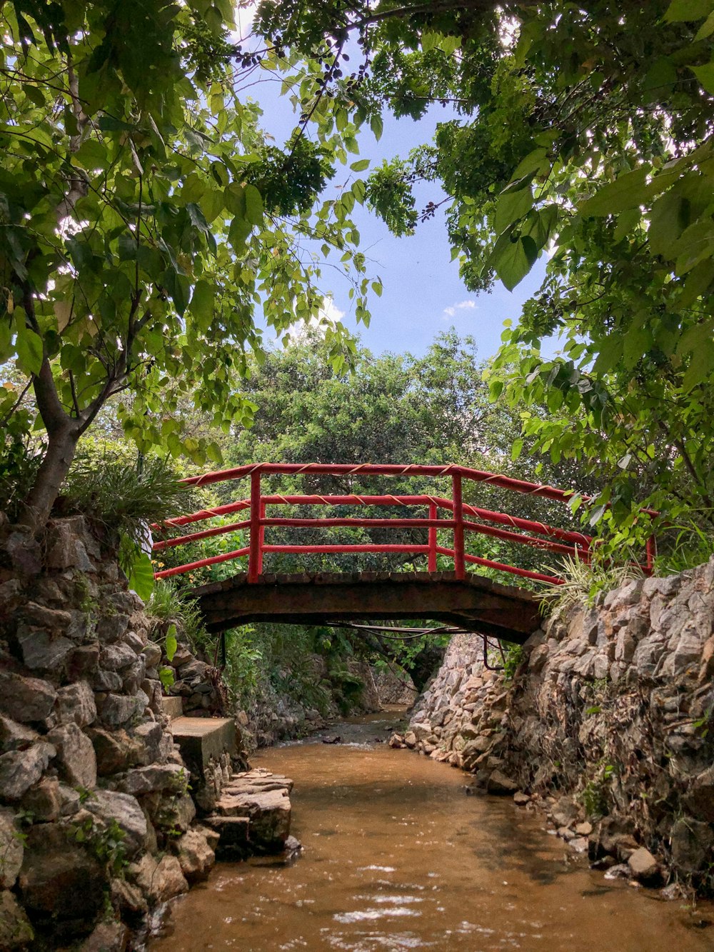 red wooden bridge over river