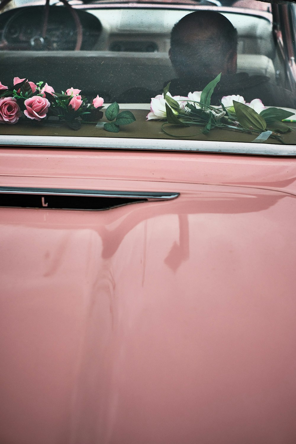 red car with green plant