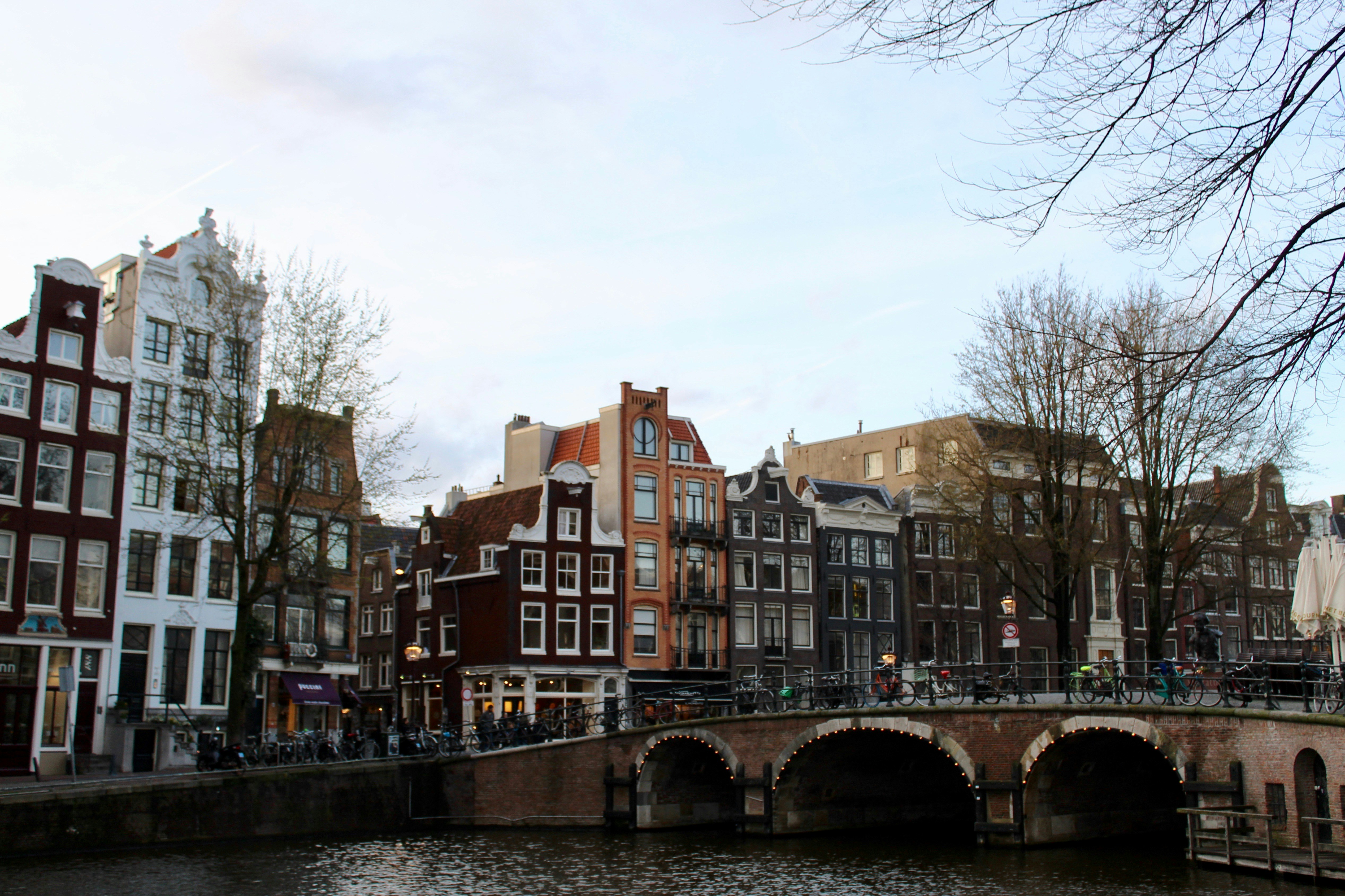 Photo by sophiewrixon