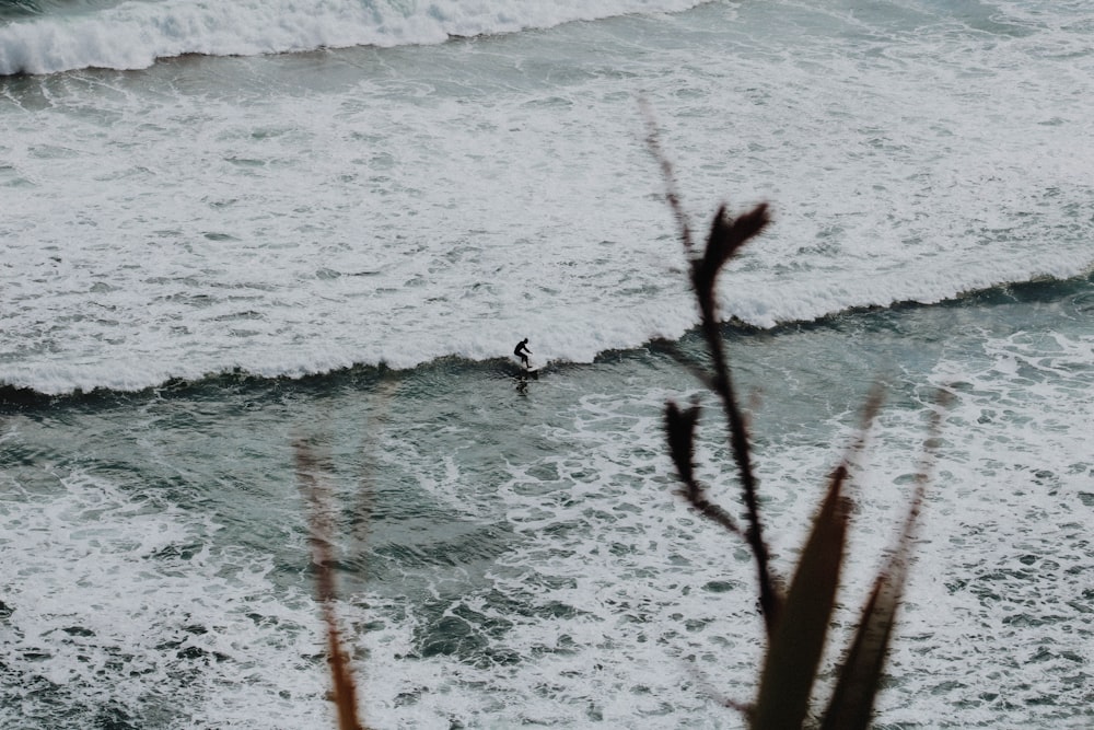 person surfing on sea waves during daytime