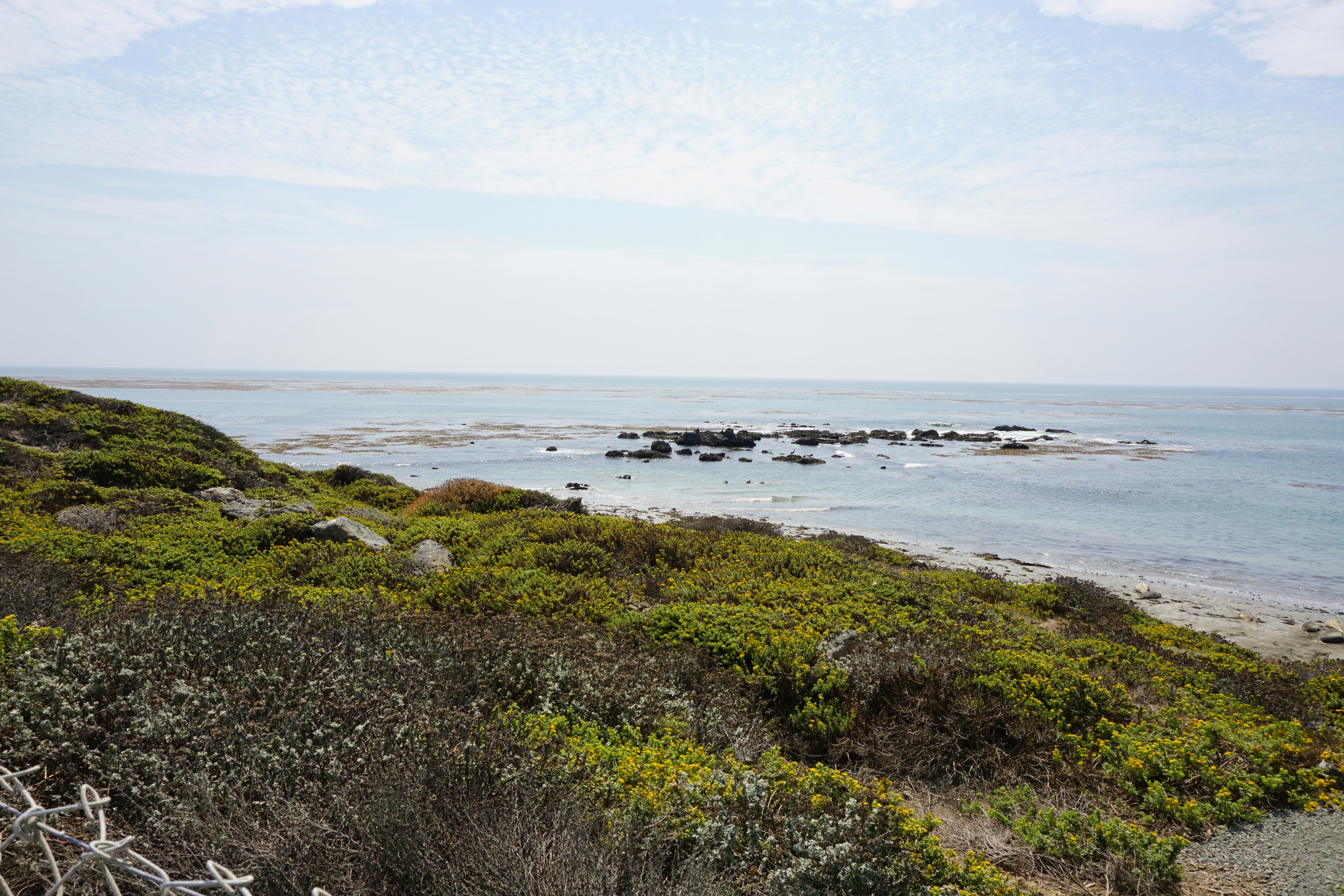 Photo by rickysinghy