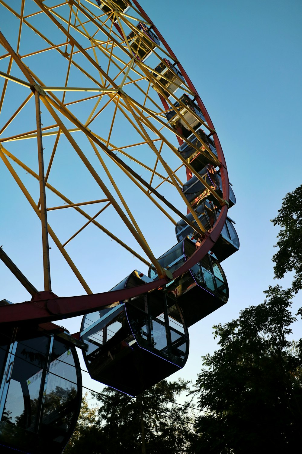 brown and white ferris wheel