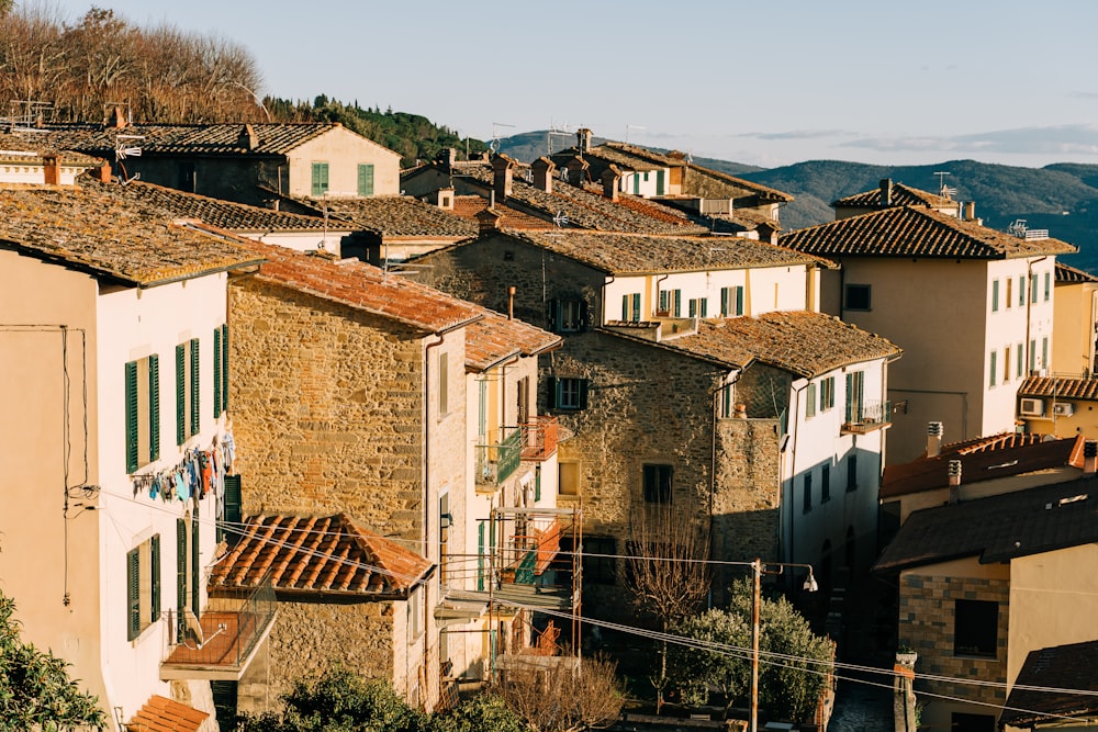 white and brown concrete houses