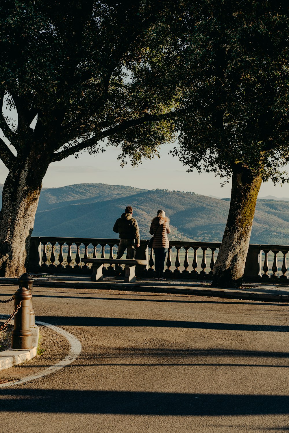 couple assis sur un banc près d’un arbre pendant la journée