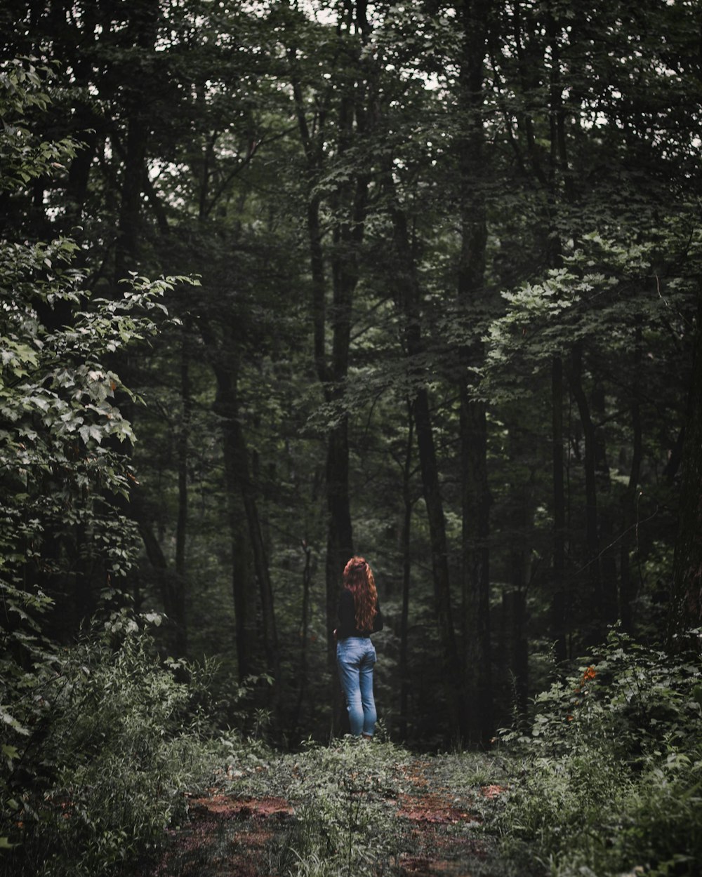 昼間に森の上を歩く赤いジャケットと青いデニムジーンズの女性