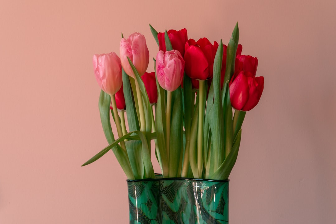 pink tulips in clear glass vase