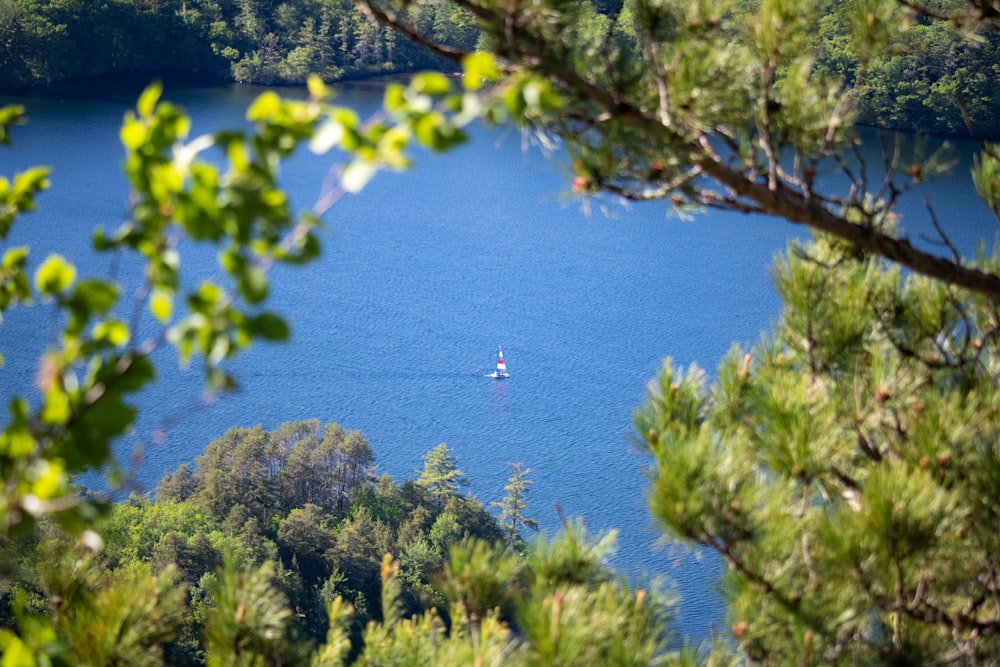 white and red boat on blue sea during daytime