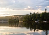 green trees beside body of water under white clouds during daytime