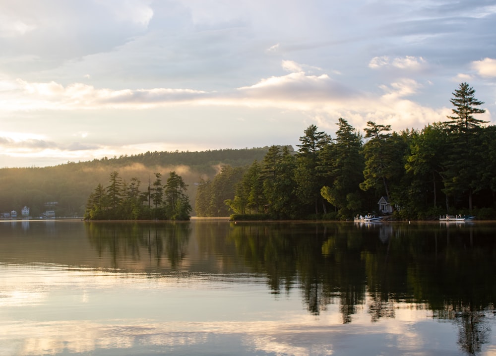 green trees beside body of water under white clouds during daytime