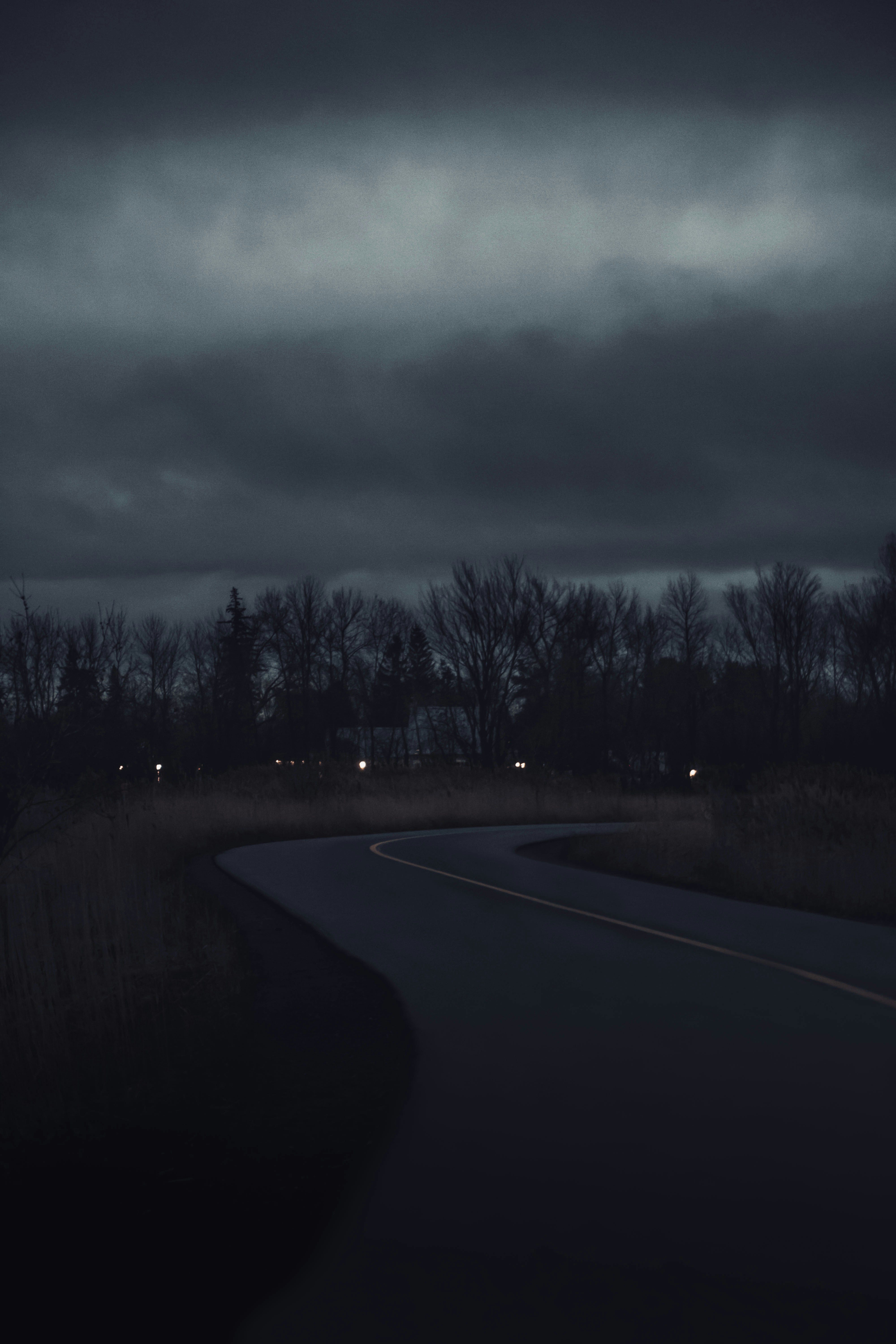 gray asphalt road between trees under gray sky