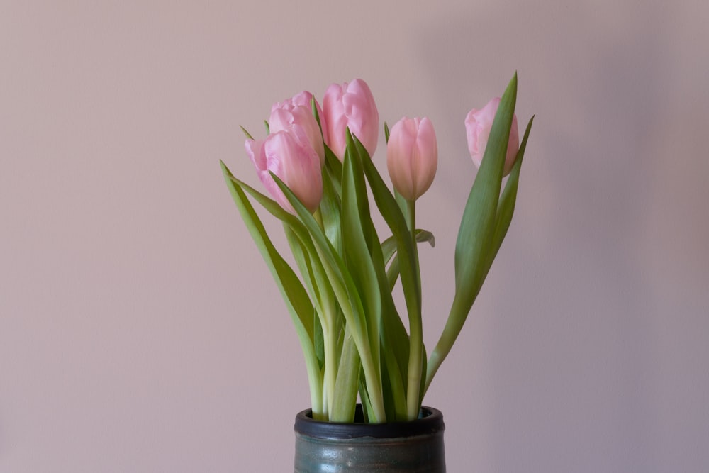 pink tulips in black ceramic vase