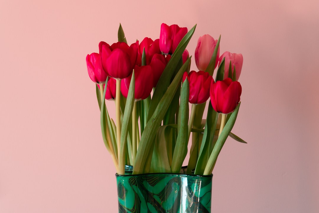 pink tulips in blue glass vase