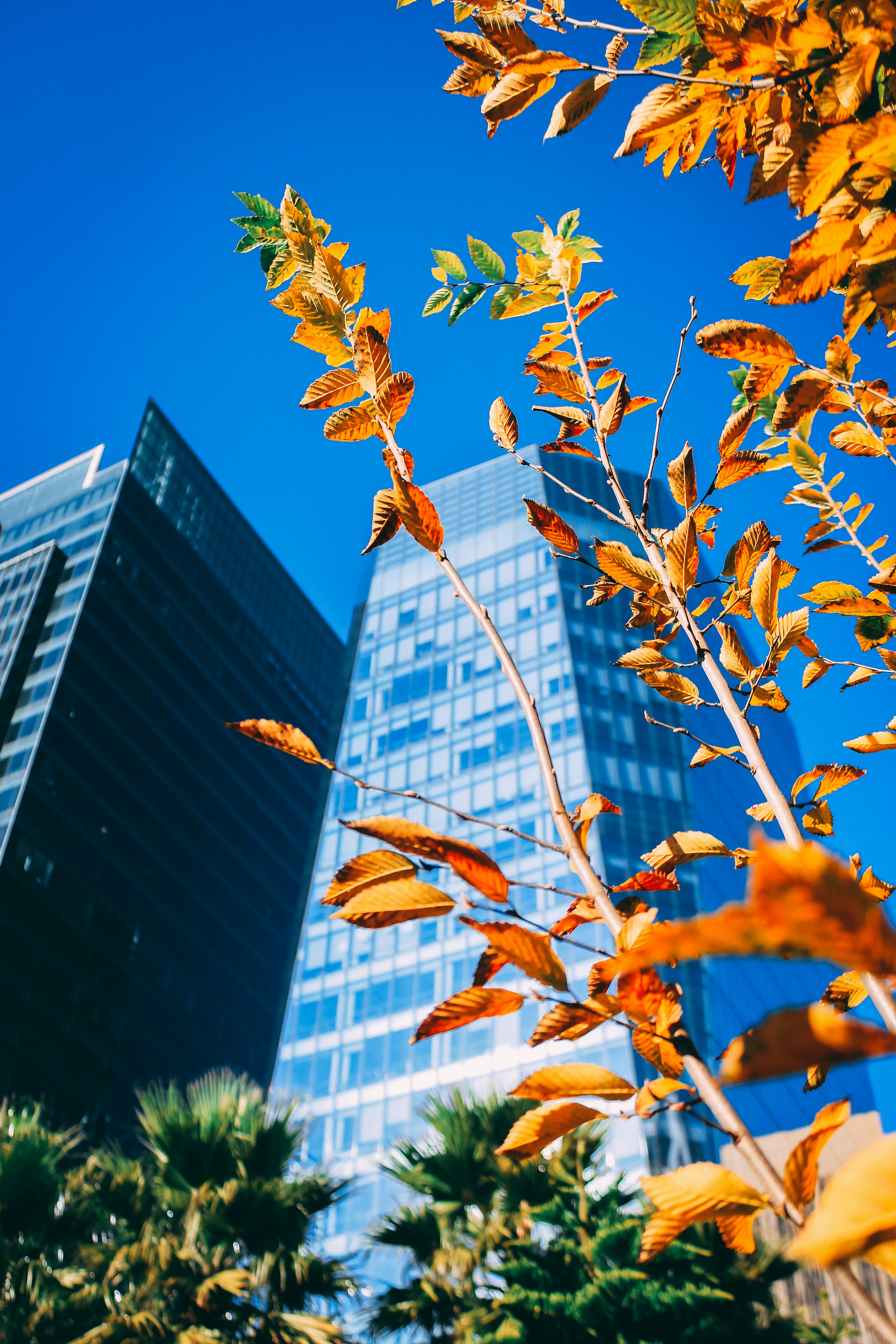 Photo by dbphotos_sf