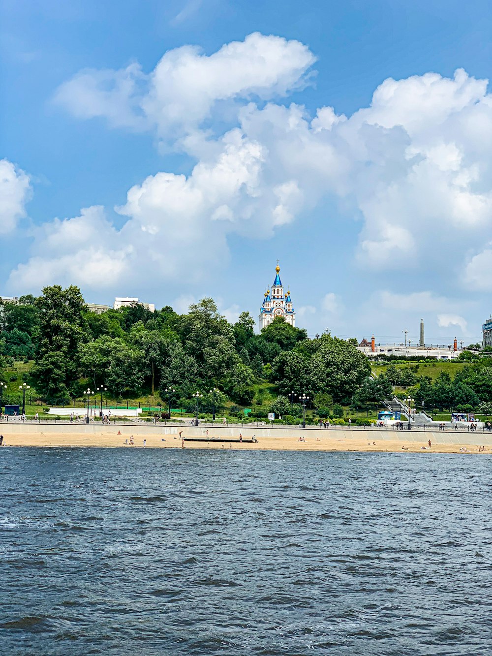 green trees near body of water during daytime