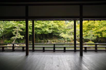 A serene garden view outside a homestay, featuring green plants and a wooden bench.