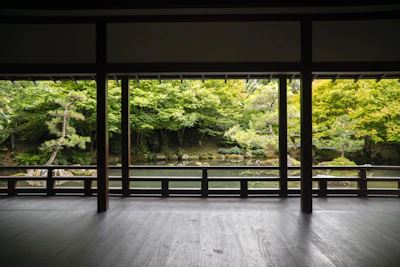 A serene garden view outside a homestay, featuring green plants and a wooden bench.