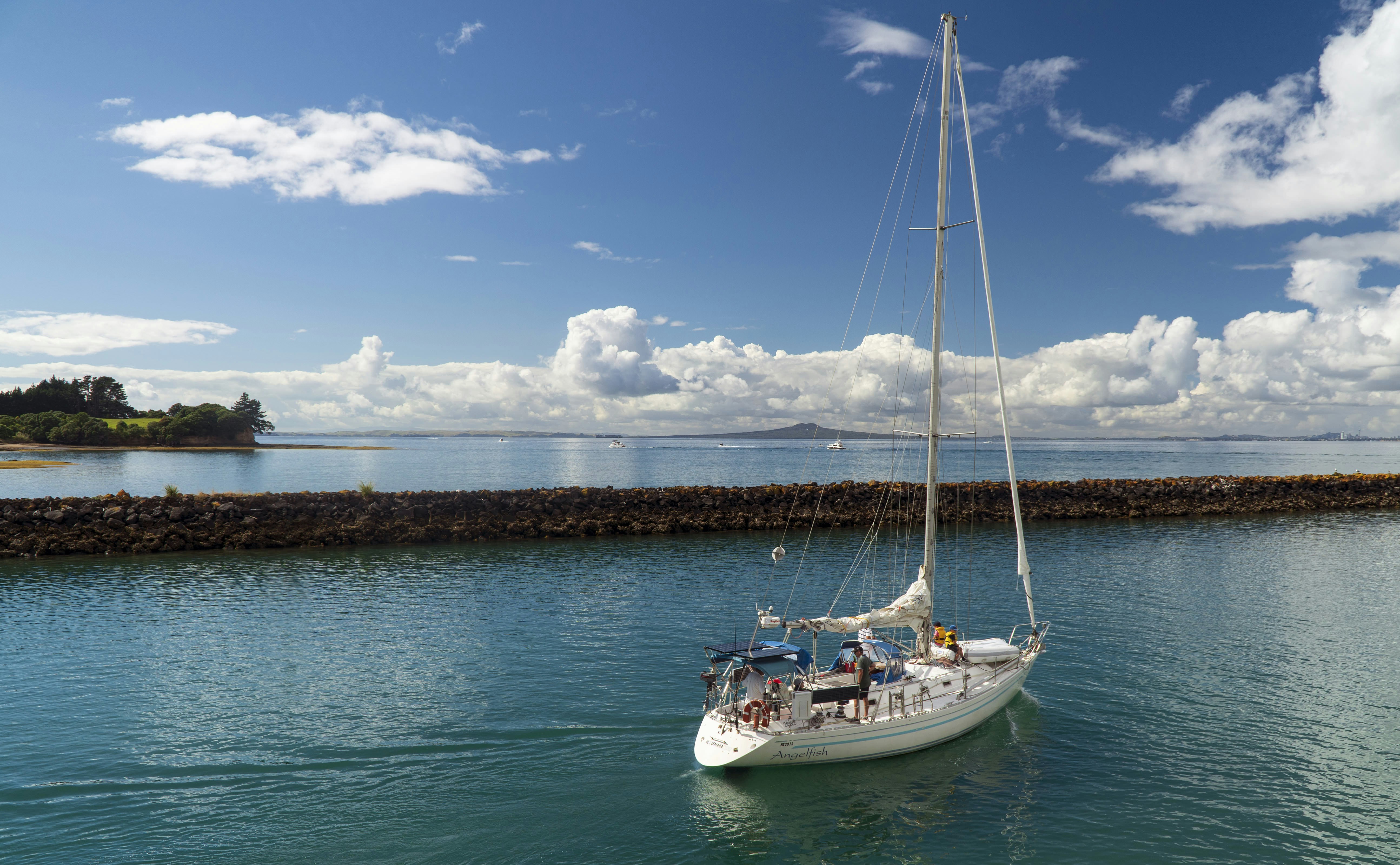 Tiritiri Matangi Island photo 3