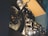 A vintage motorcycle is captured in a dimly lit setting, featuring intricate metallic details and a polished finish. The image highlights the wheel, engine, and handlebars, emphasizing the craftsmanship and design of the vehicle.