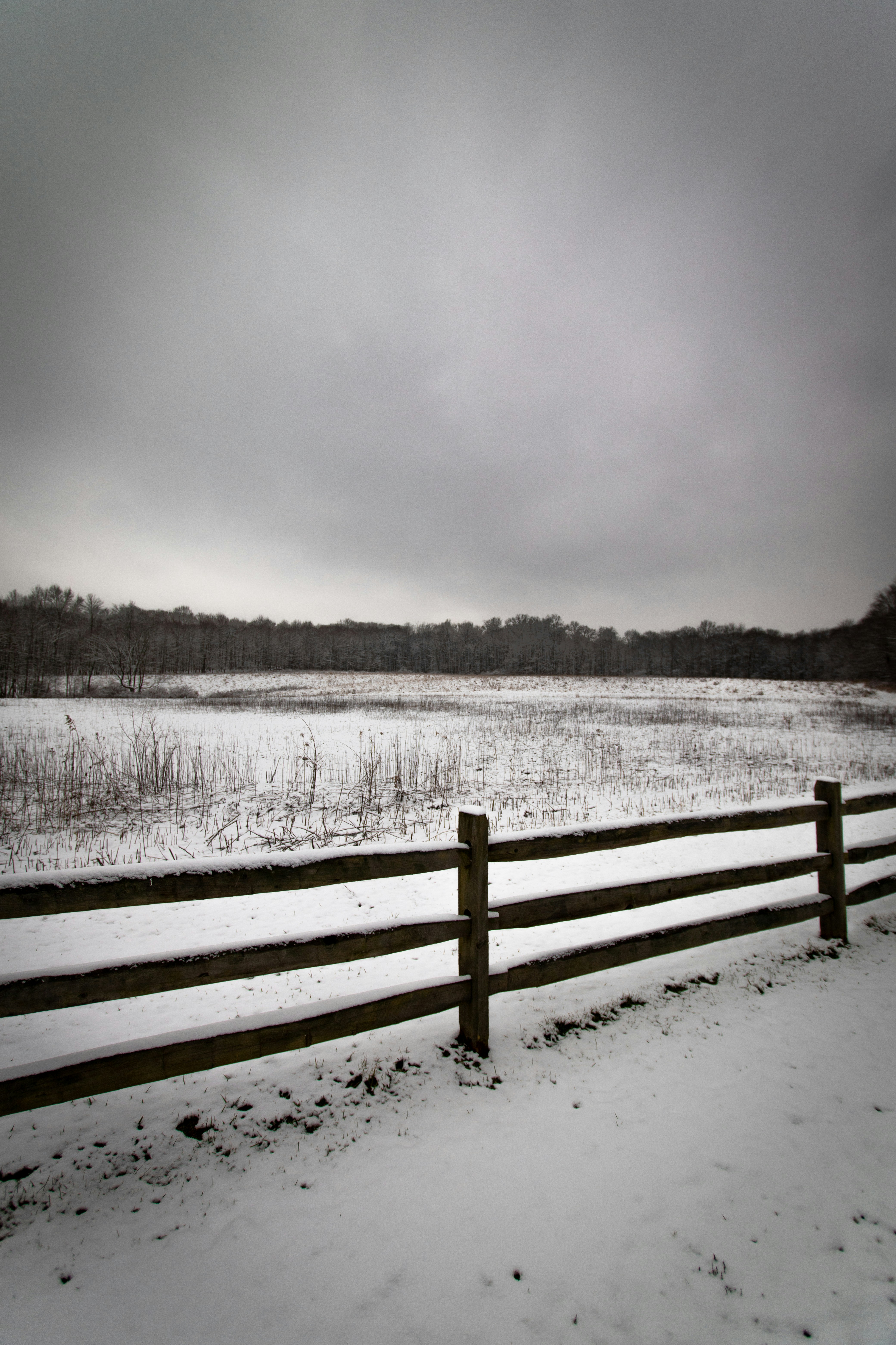 Photo by drkolomiyets