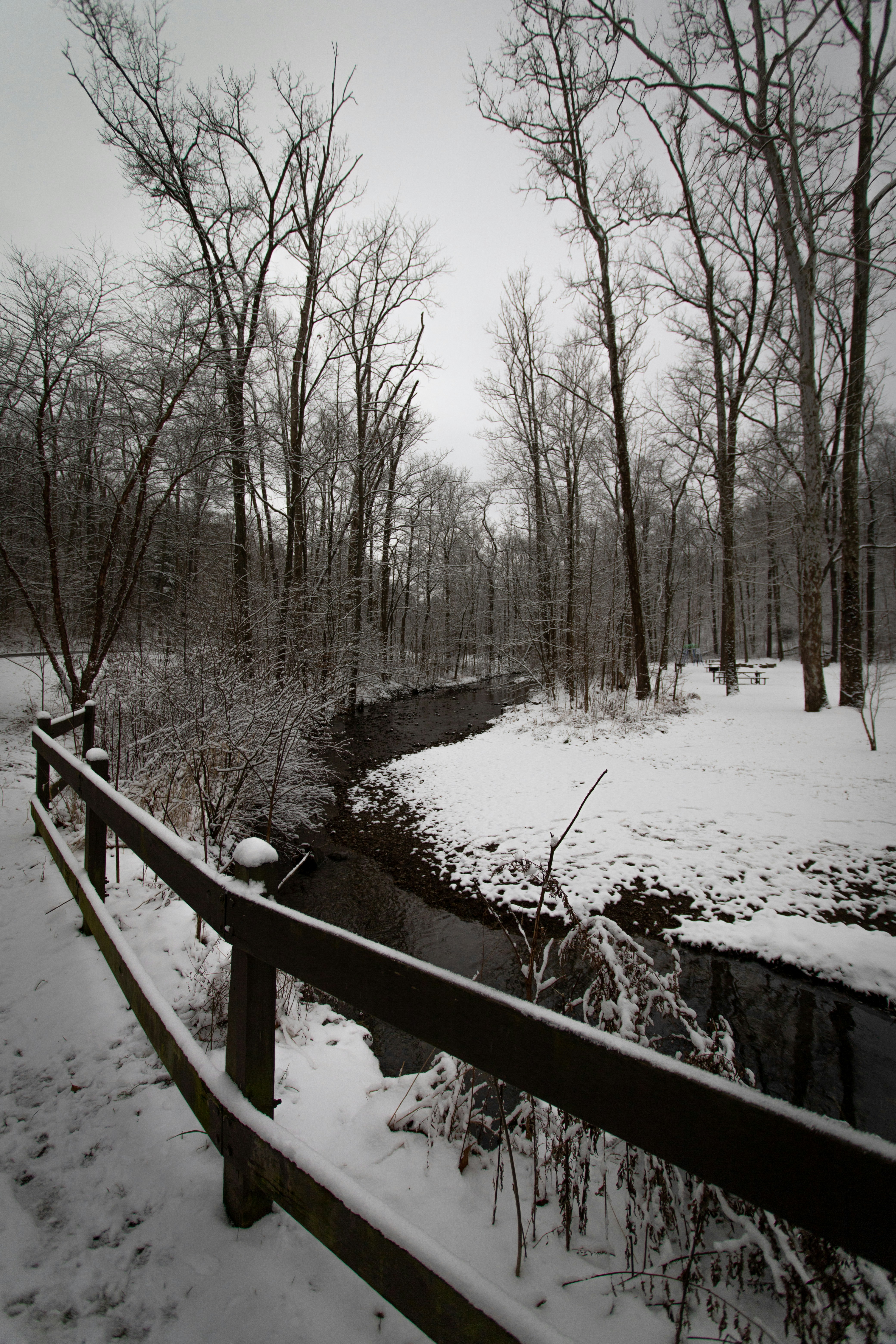 Photo by drkolomiyets