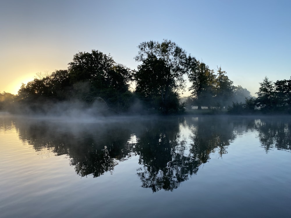 alberi verdi accanto allo specchio d'acqua durante il giorno