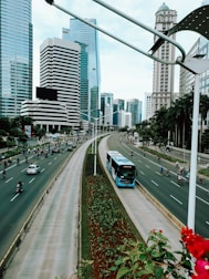cars on road during daytime